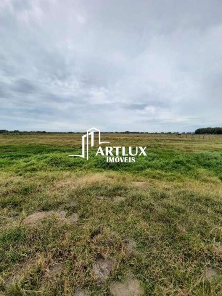 Sítio, 2 quartos, 4 hectares - Foto 5