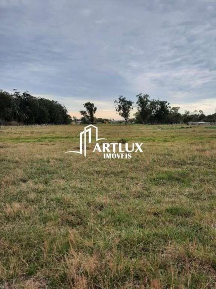 Sítio, 2 quartos, 4 hectares - Foto 7