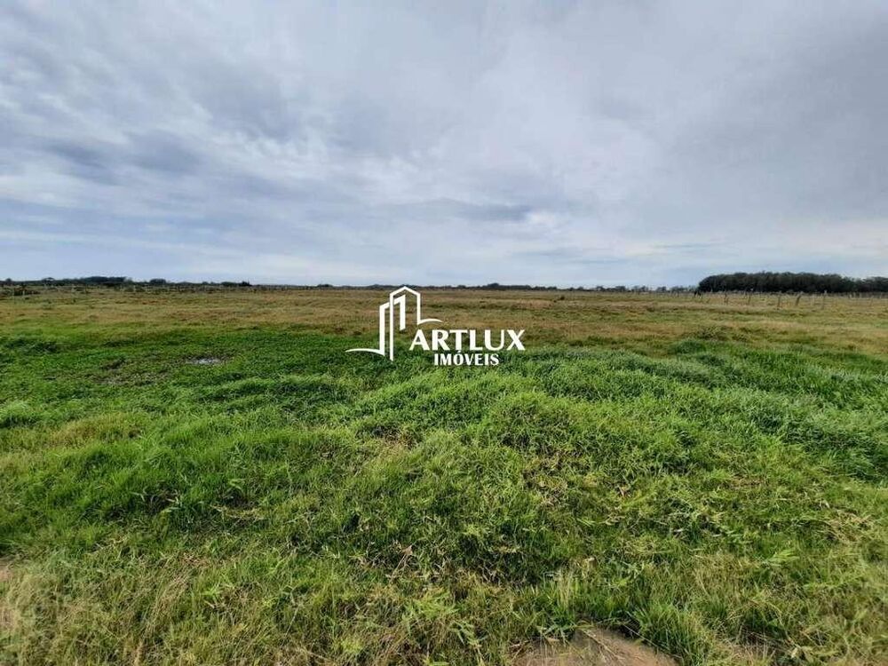 Sítio, 2 quartos, 4 hectares - Foto 9