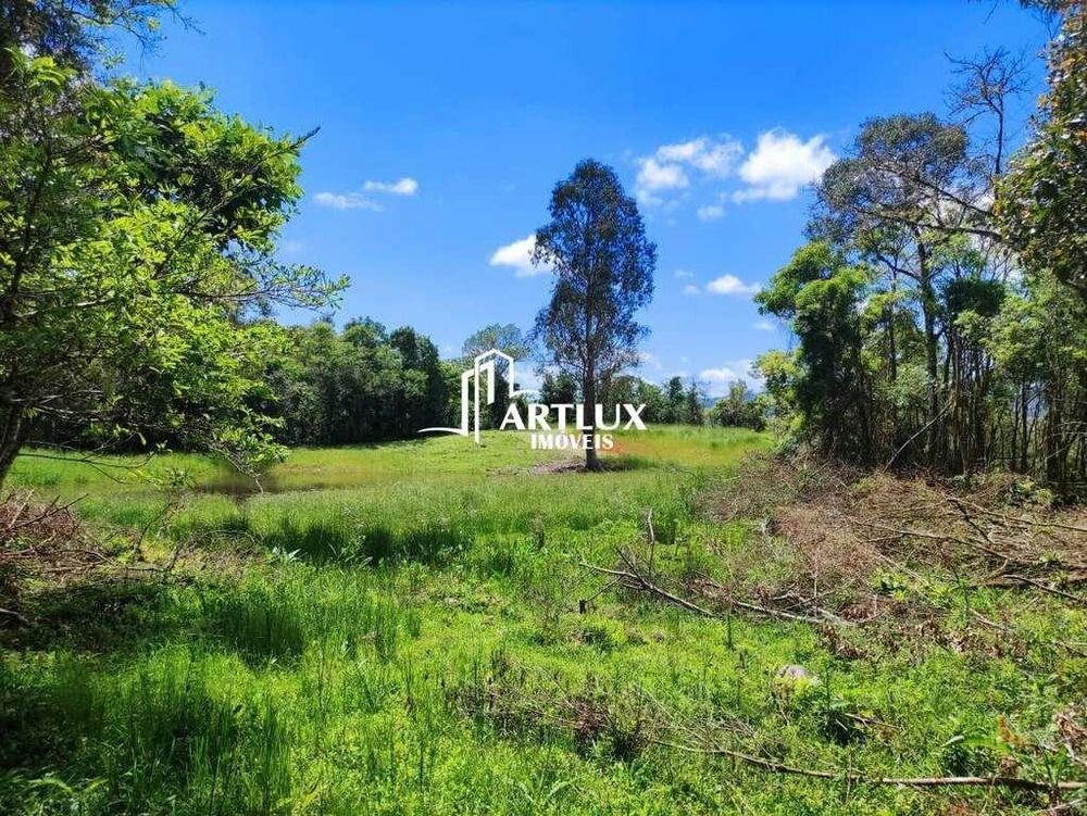 Terreno à venda, 50000m² - Foto 2