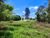 Terreno, 5 hectares - Foto 2