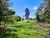 Terreno, 5 hectares - Foto 14