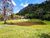 Terreno, 5 hectares - Foto 3