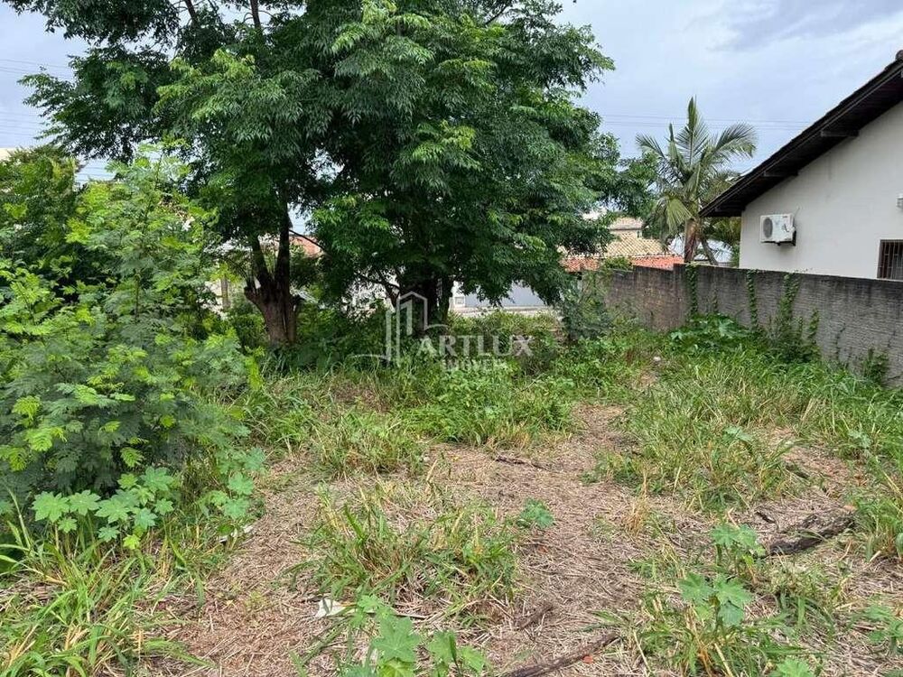 Terreno, 480 m² - Foto 8