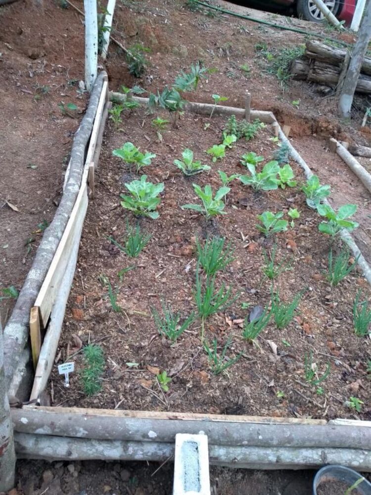 Sítio, 1 quarto, 900 m² - Foto 10