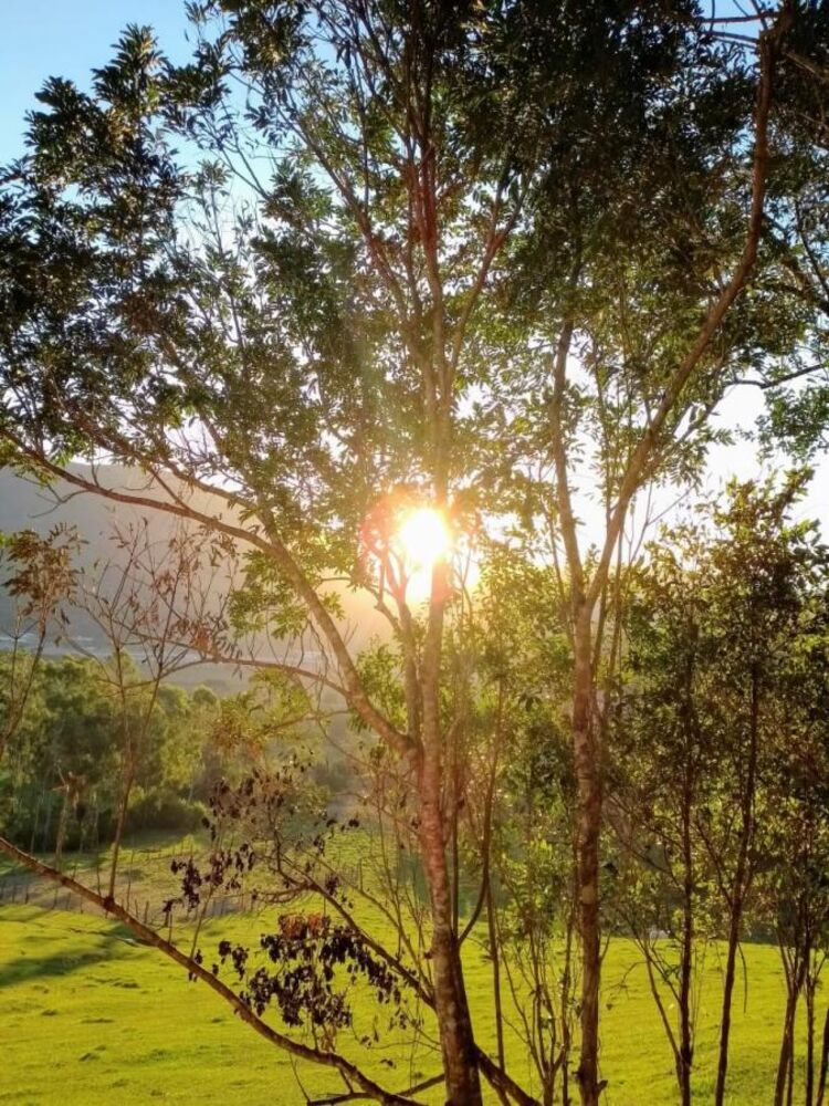 Sítio, 1 quarto, 900 m² - Foto 12