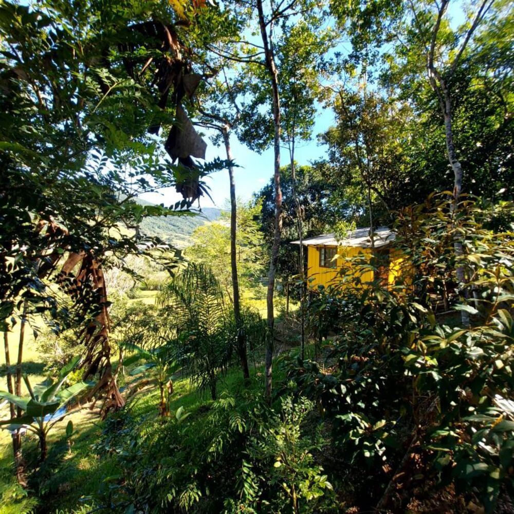 Sítio, 1 quarto, 900 m² - Foto 8