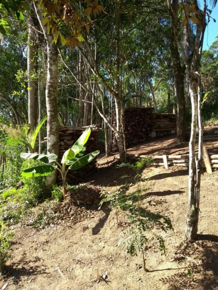 Sítio, 1 quarto, 900 m² - Foto 17