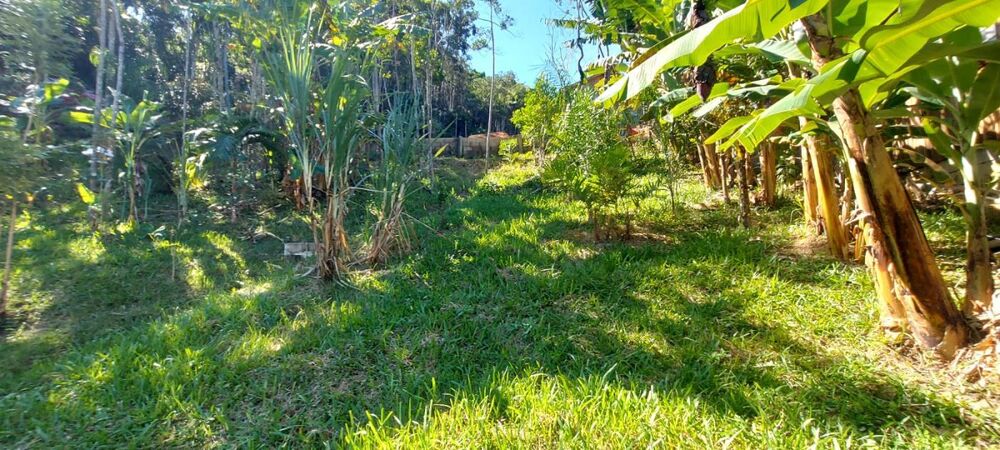 Sítio, 1 quarto, 900 m² - Foto 11