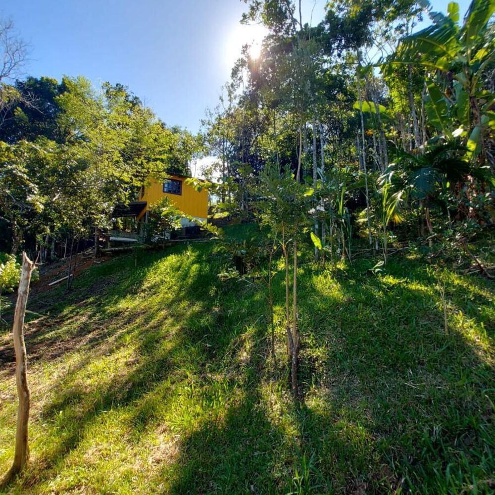 Sítio, 1 quarto, 900 m² - Foto 6