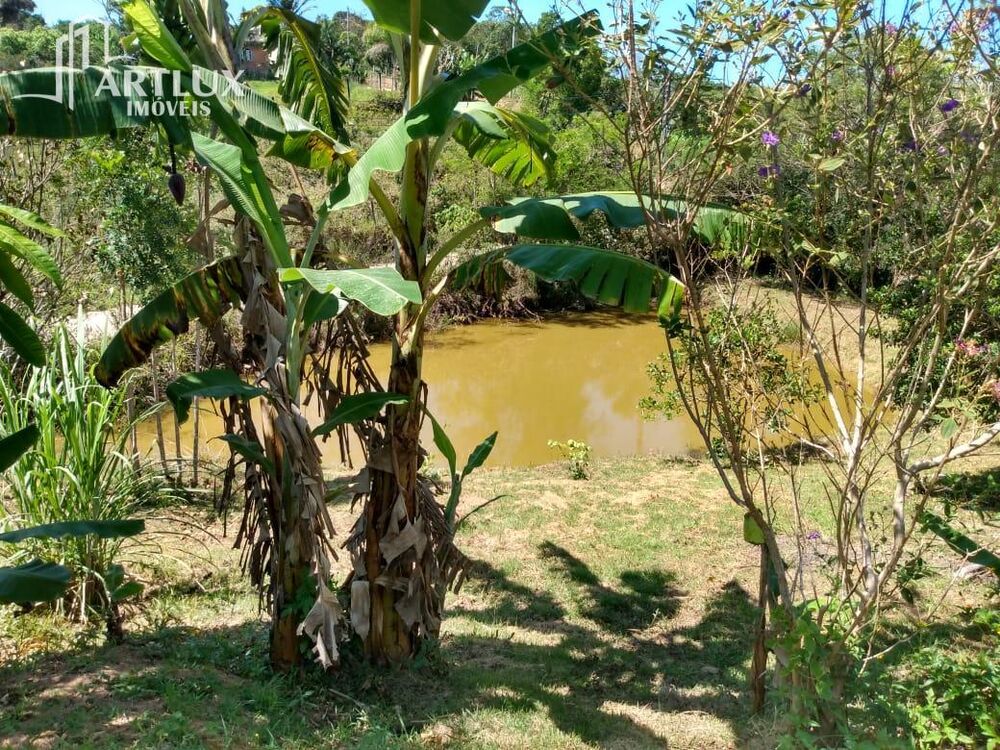 Sítio, 3900 m² - Foto 29