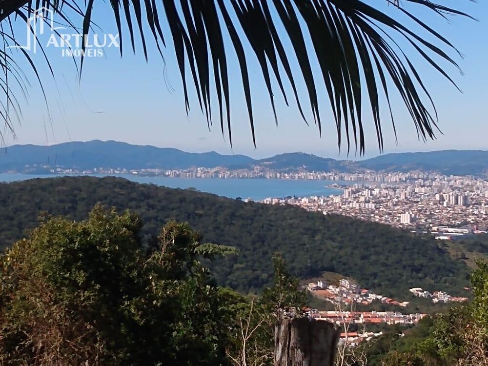 Sítio, 3900 m² - Foto 10