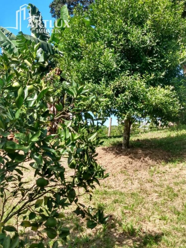 Sítio, 3900 m² - Foto 23