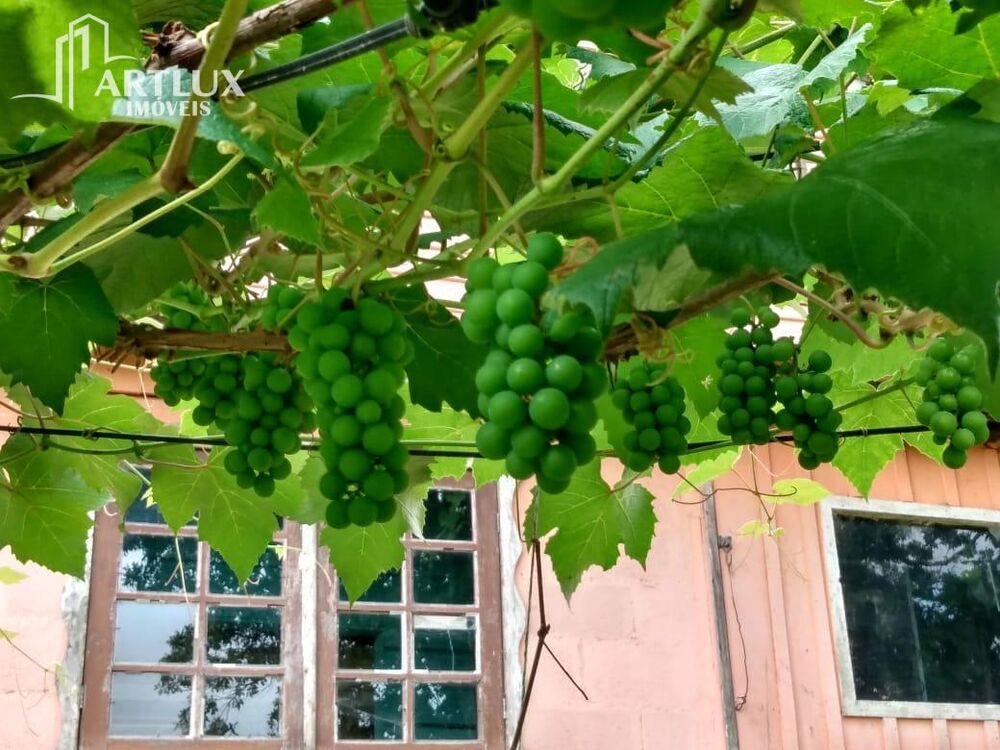 Sítio, 3900 m² - Foto 33