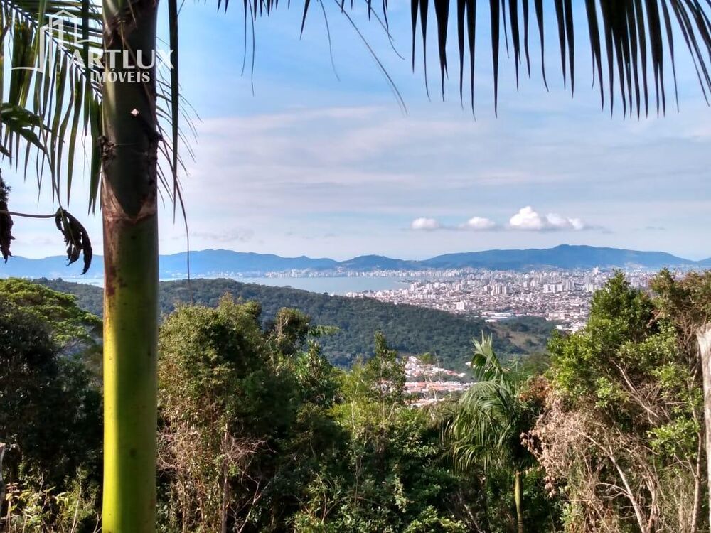 Sítio, 3900 m² - Foto 15