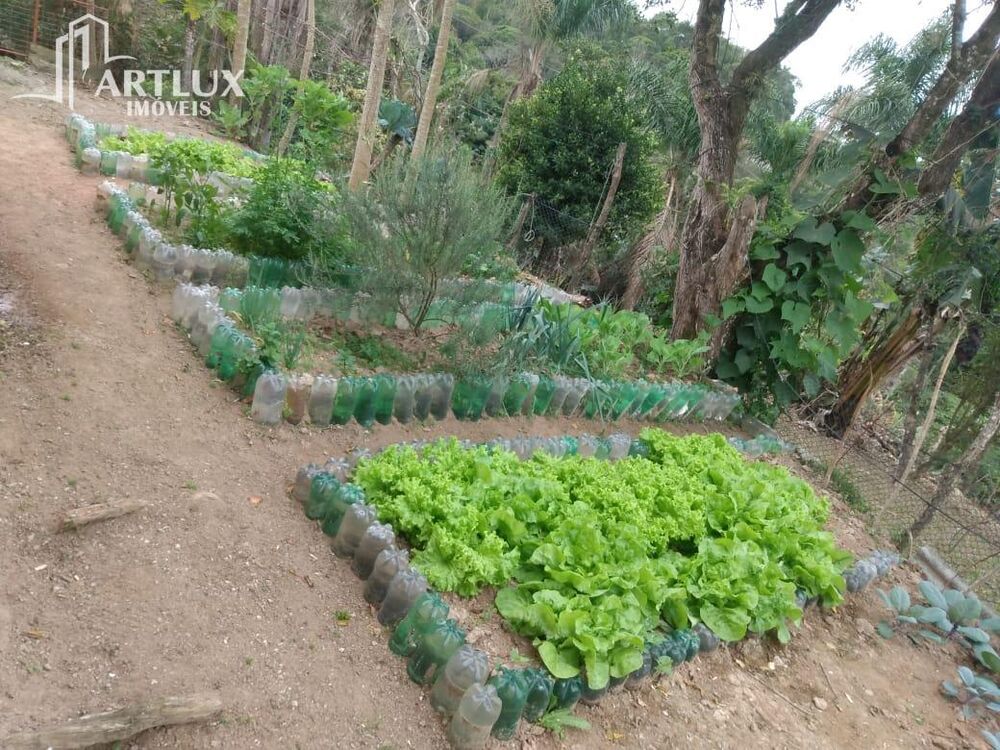 Sítio, 3900 m² - Foto 7