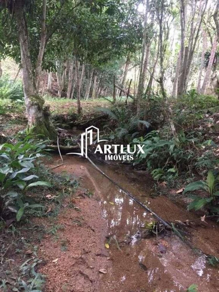 Sítio, 2 quartos, 3 hectares - Foto 3