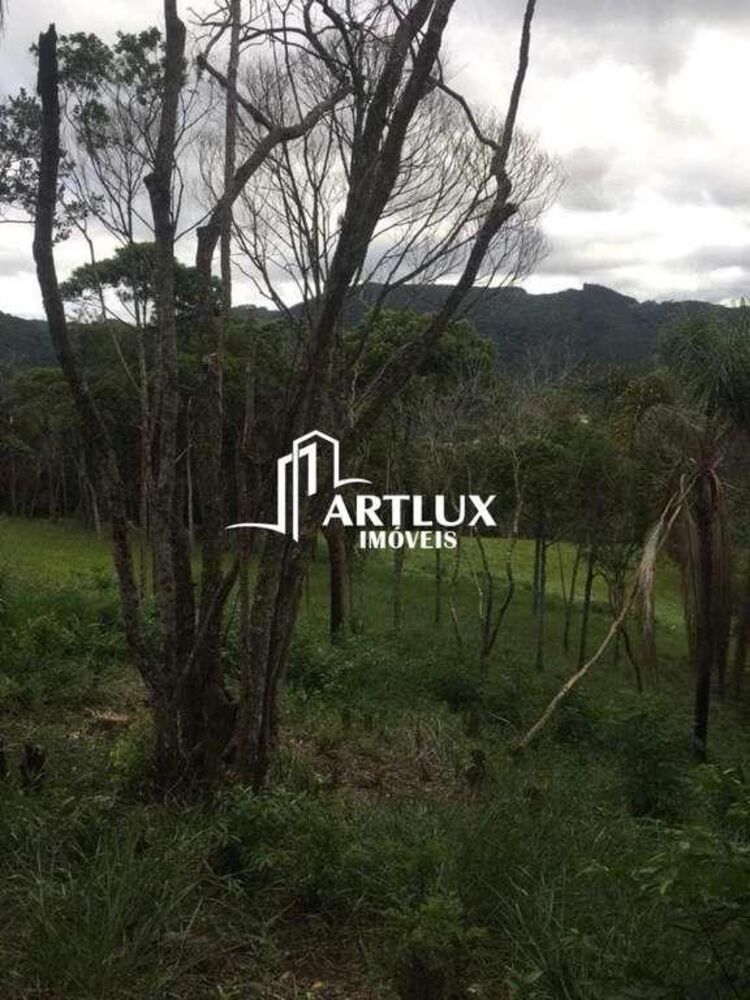 Sítio, 2 quartos, 3 hectares - Foto 7