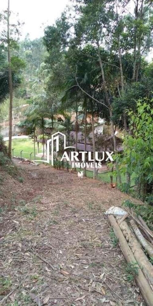 Sítio à venda com 4 quartos, 20000m² - Foto 5