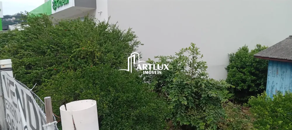 Terreno, 1060 m² - Foto 4