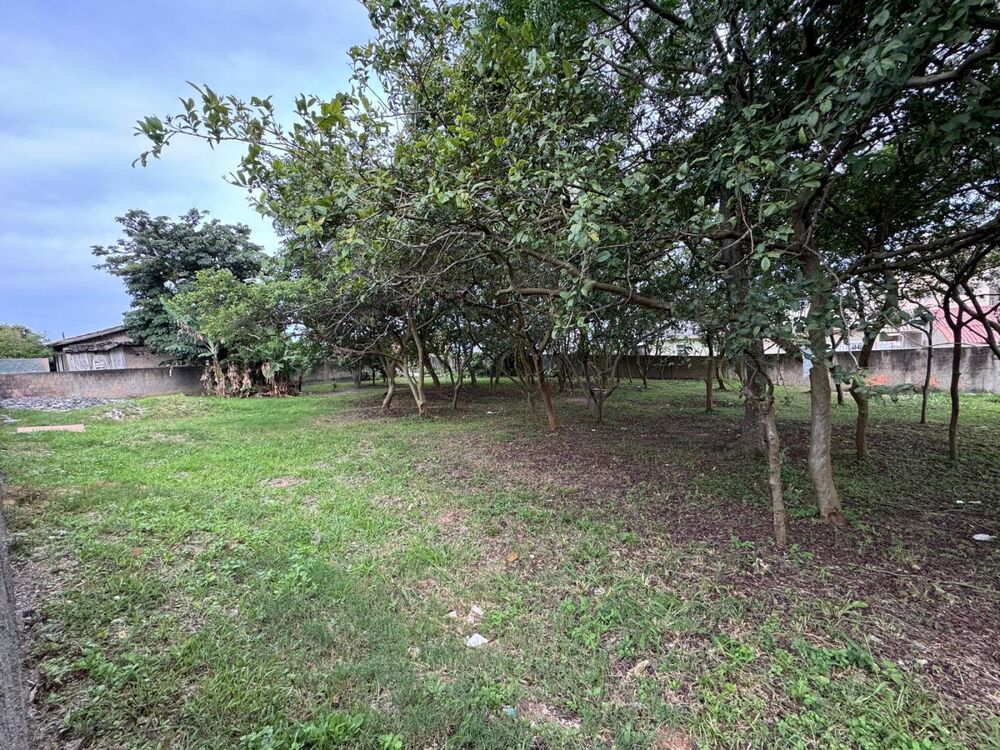 Terreno, 1890 m² - Foto 3