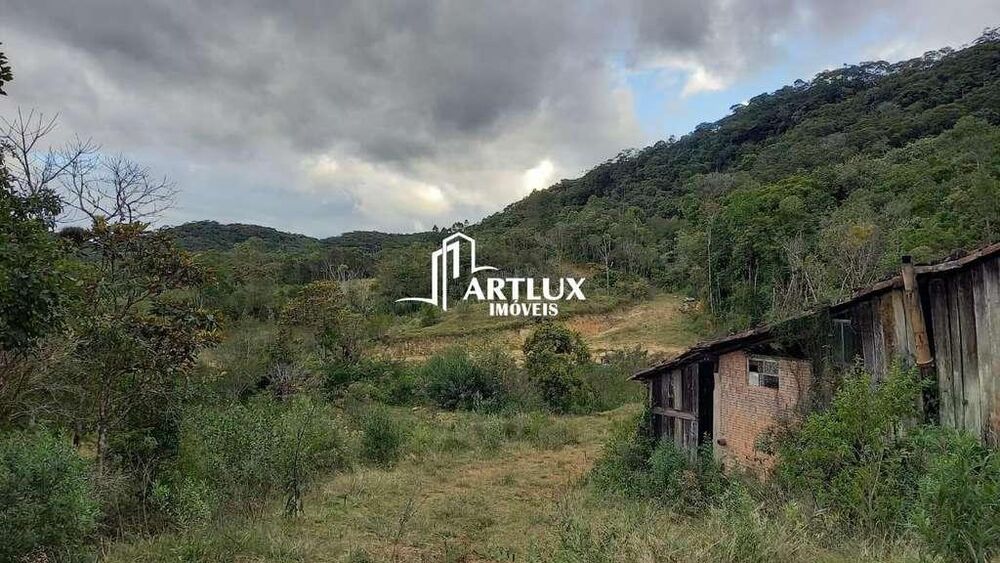 Sítio, 3 quartos, 40 hectares - Foto 11