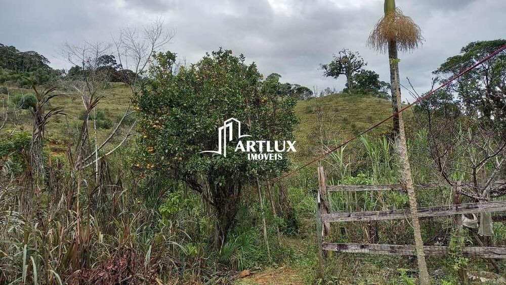 Sítio, 3 quartos, 40 hectares - Foto 27