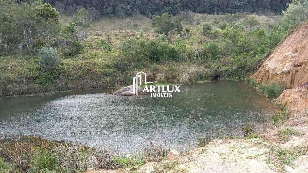Sítio, 3 quartos, 40 hectares - Foto 19