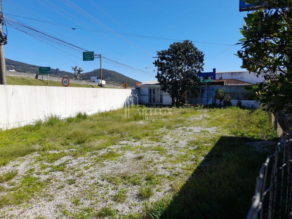 Casa, 3 quartos, 300 m² - Foto 6