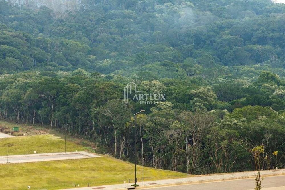 Terreno, 300 m² - Foto 4