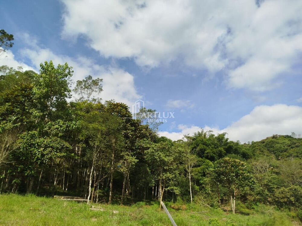 Terreno à venda, 1500m² - Foto 1