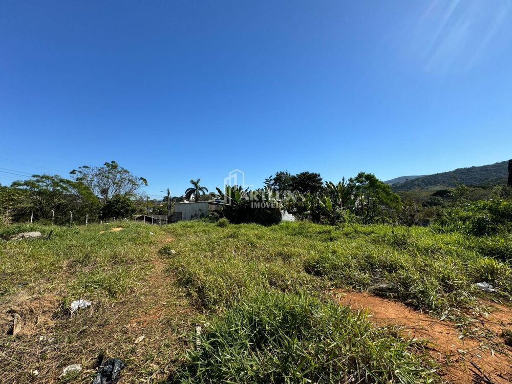 Terreno, 5066 m² - Foto 4