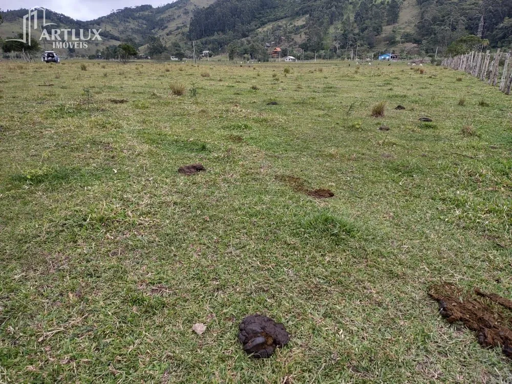 Terreno, 3 hectares - Foto 1