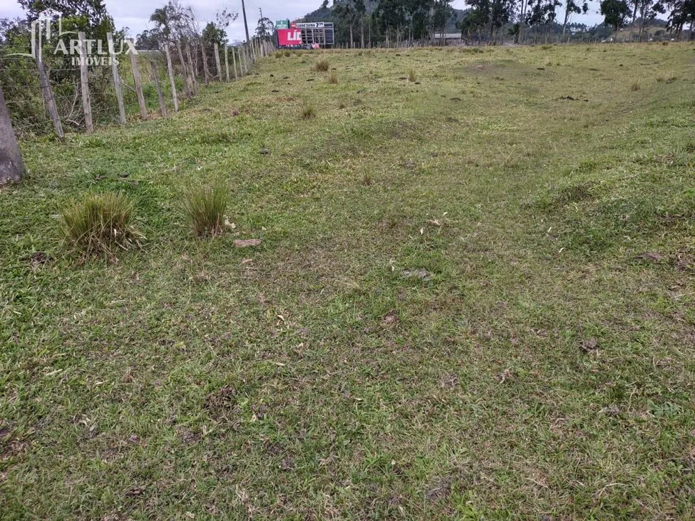 Terreno, 3 hectares - Foto 3