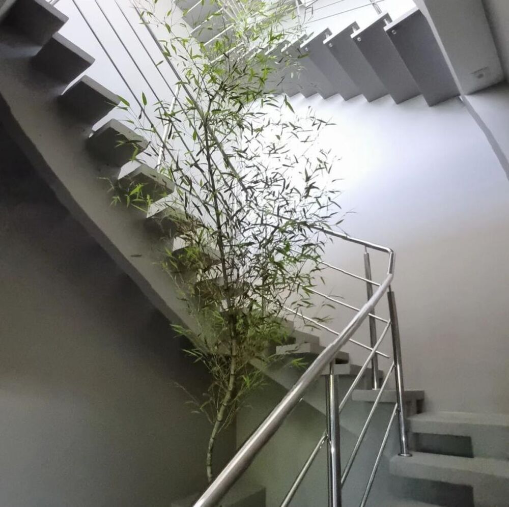 Casa, 5 quartos, 635 m² - Foto 4