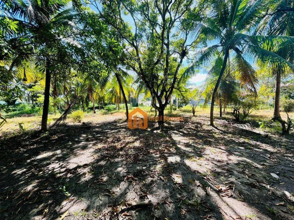 Chácara, 3 quartos, 9480 m² - Foto 3