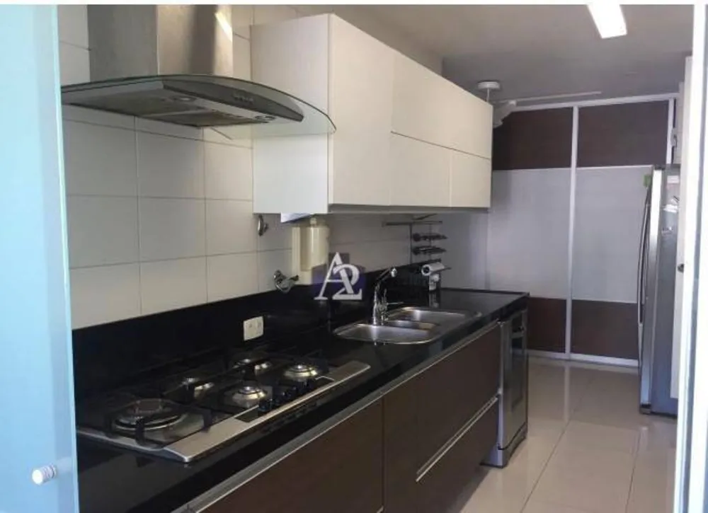 Apartamento, 4 quartos, 255 m² - Foto 6