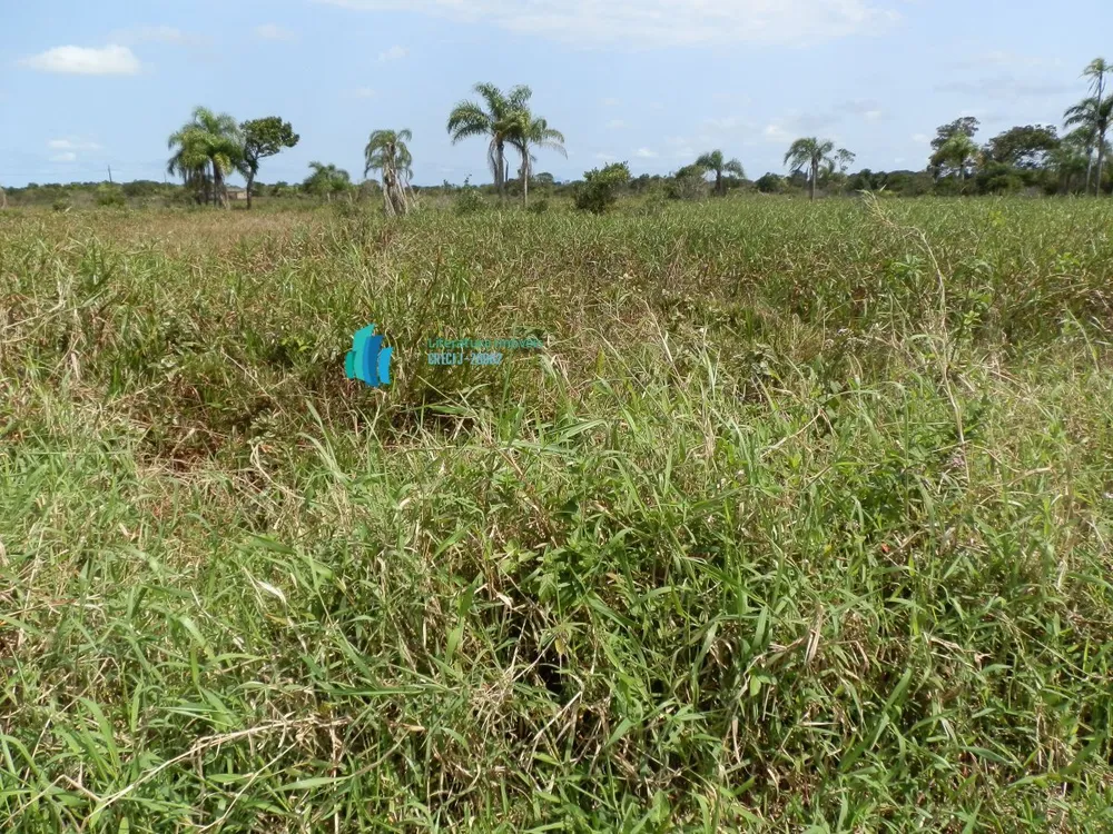 Terreno, 250 m² - Foto 10