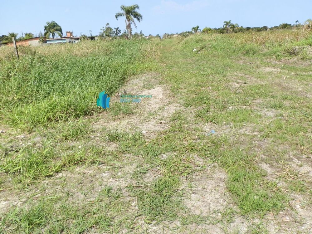 Terreno, 250 m² - Foto 4