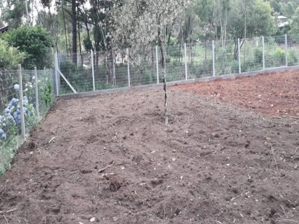 Terreno à venda com 1 quarto, 800m² - Foto 4