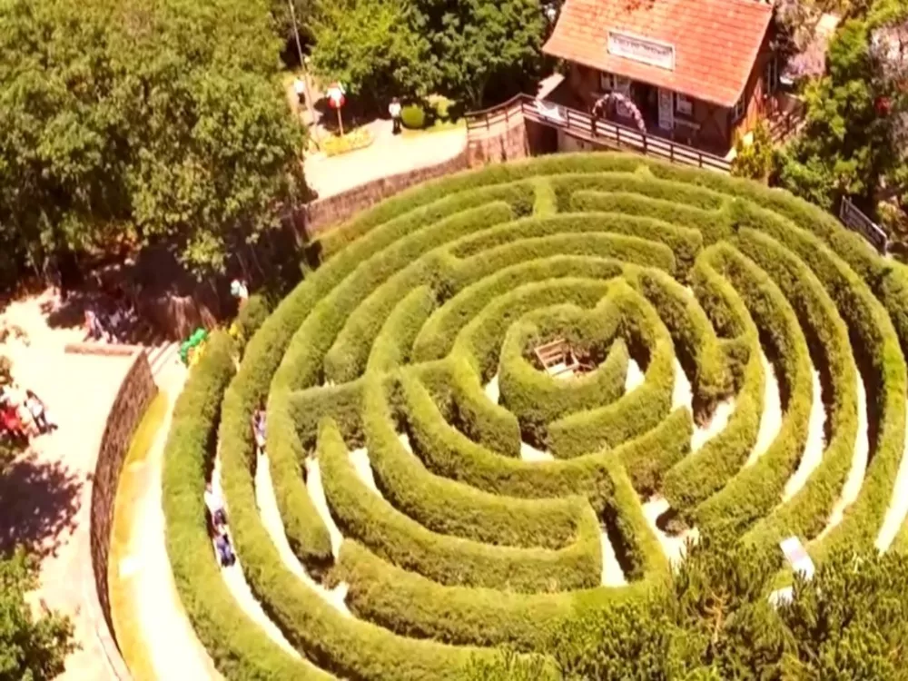 Casa, 3 quartos, 500 m² - Foto 7