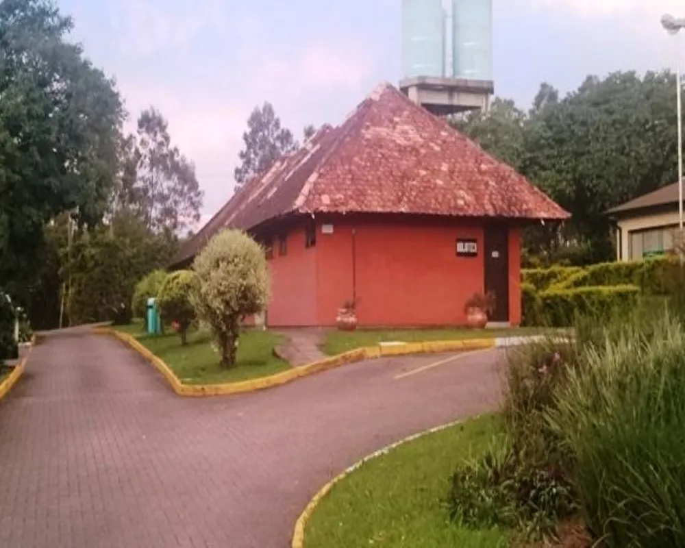Terreno, 2000 m² - Foto 8