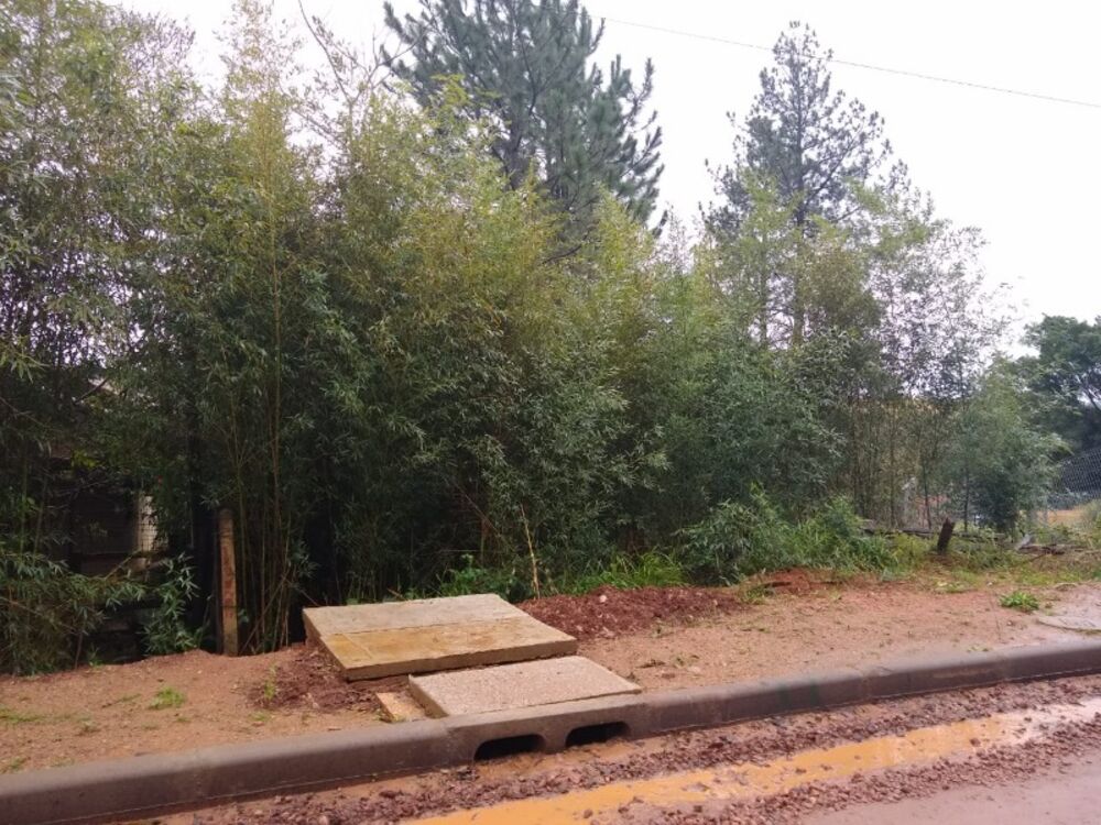 Terreno, 445 m² - Foto 2