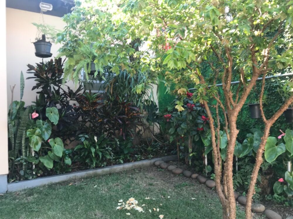 Casa, 4 quartos, 230 m² - Foto 1