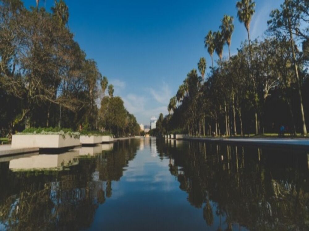 Apartamento, 1 quarto, 90 m² - Foto 8