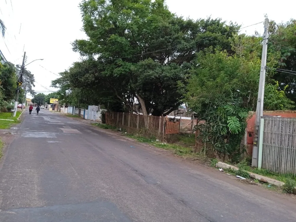 Terreno, 300 hectares - Foto 4
