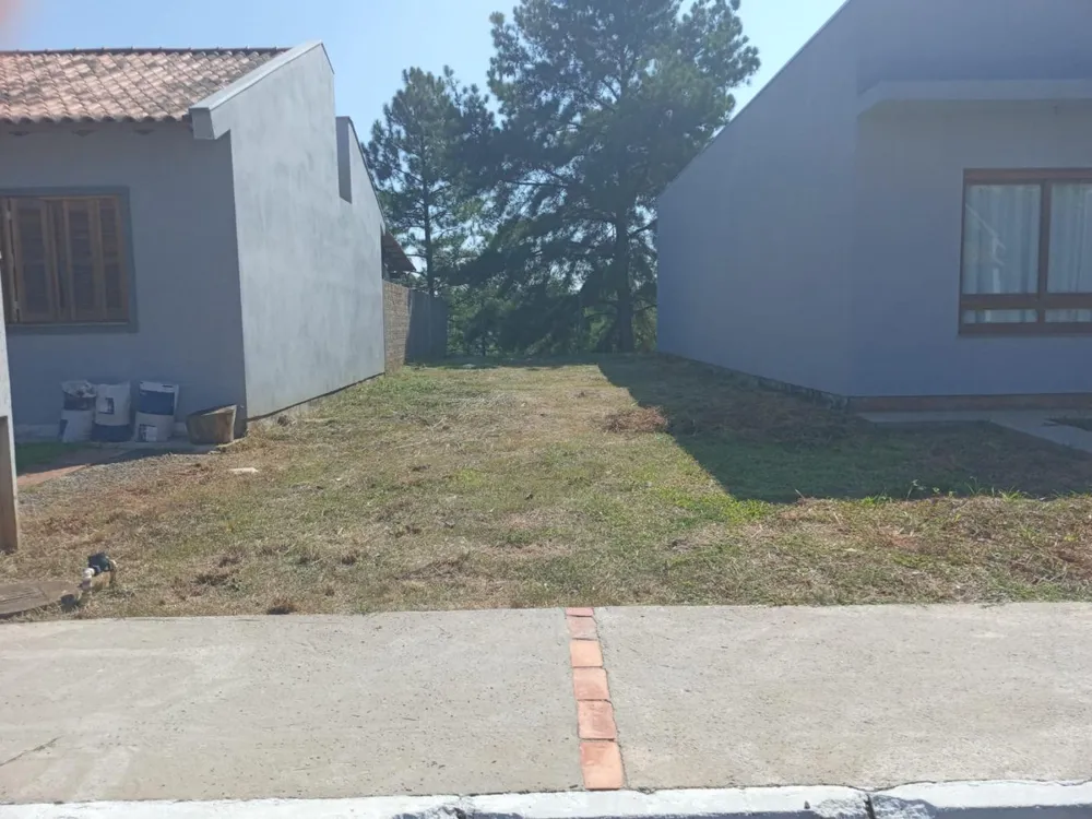Terreno - Foto 5