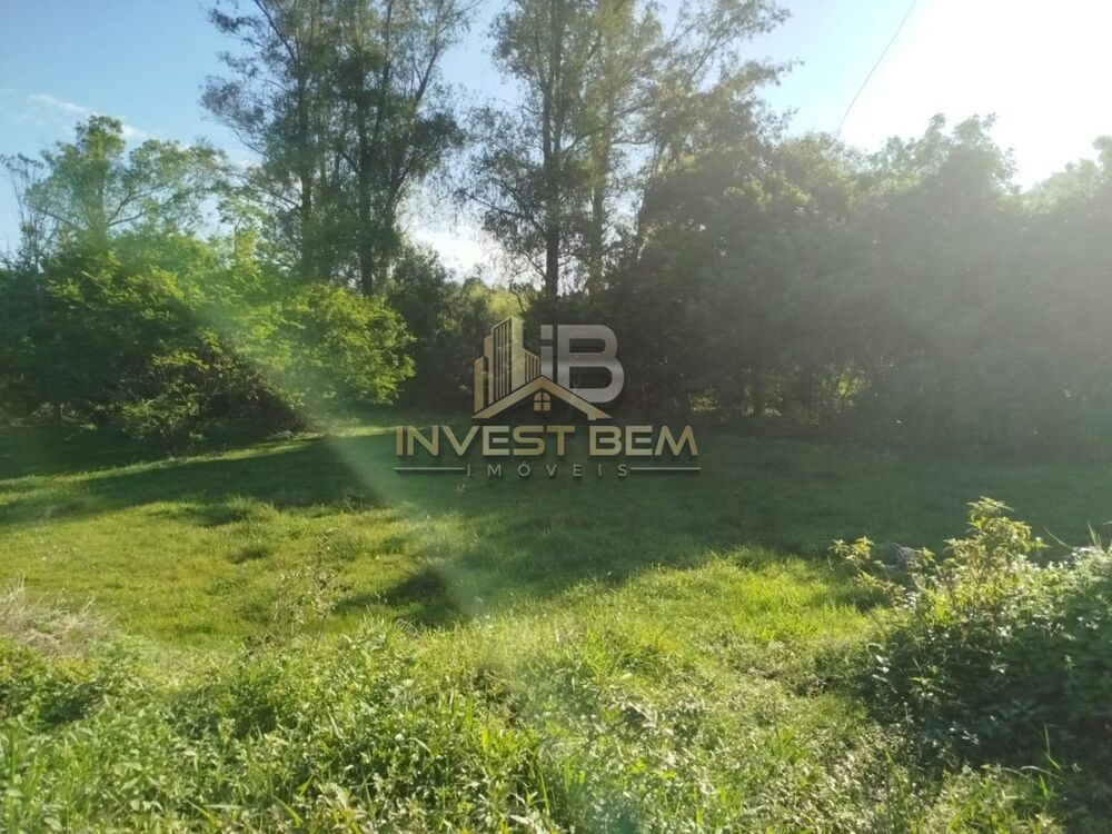 Terreno, 3500 m² - Foto 3