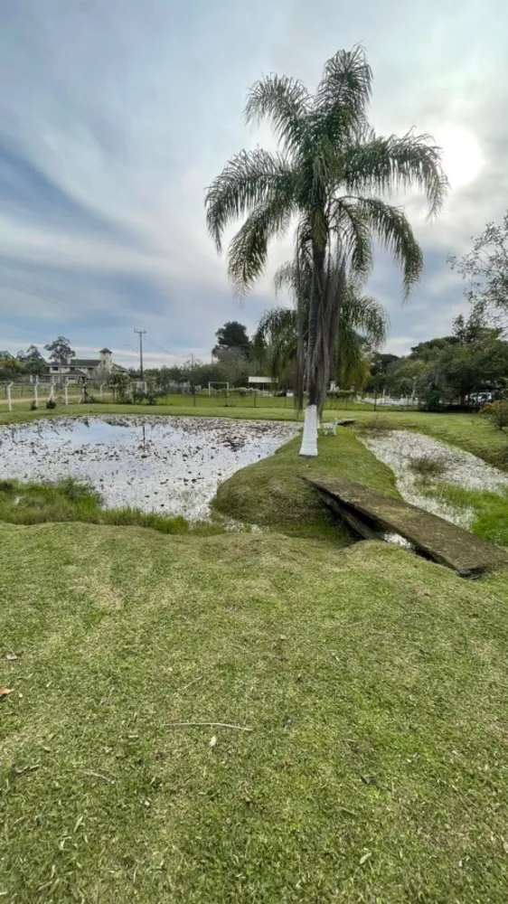 Sítio, 2 quartos, 3000 m² - Foto 6