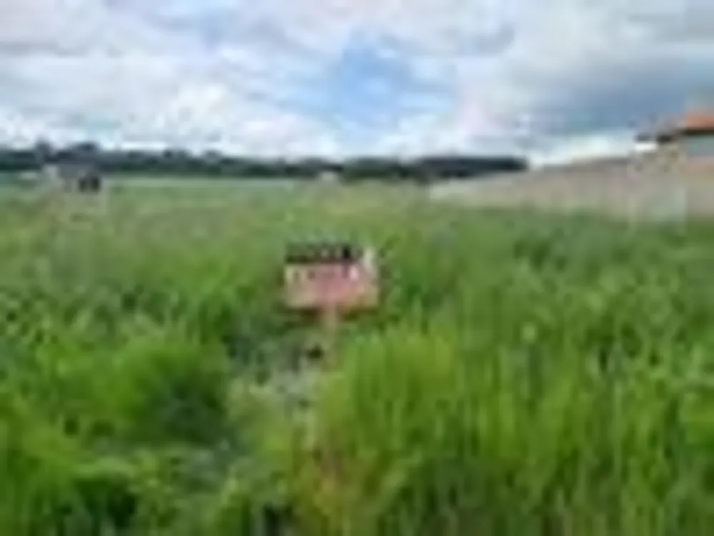 Terreno, 507 m² - Foto 6